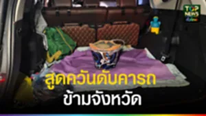 ghmgmgvdvd