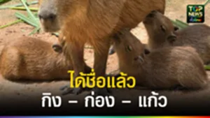 hmjhmmhm