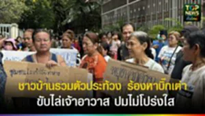 TOPNEWS website - update 2025 (2)