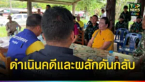 ปก
