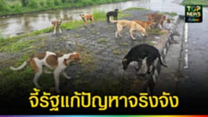ปก web จี้รัฐแก้ปัญหาจริงจัง