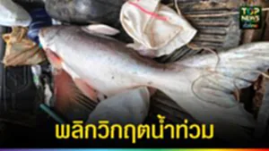 ปก web พลิกวิกฤตน้ำท่วม