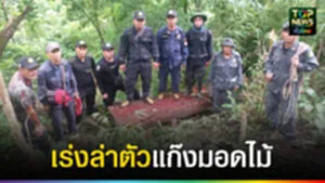 ปก web เร่งล่าตัวแก๊งมอดไม้