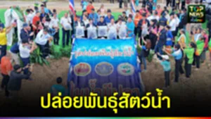 ปก กำแพง ปล่อยพันธุ์สัตว์น้ำ