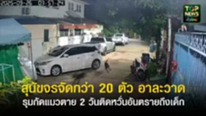 ปกเว็ปTOPNEWS ทั่วไทย (39)