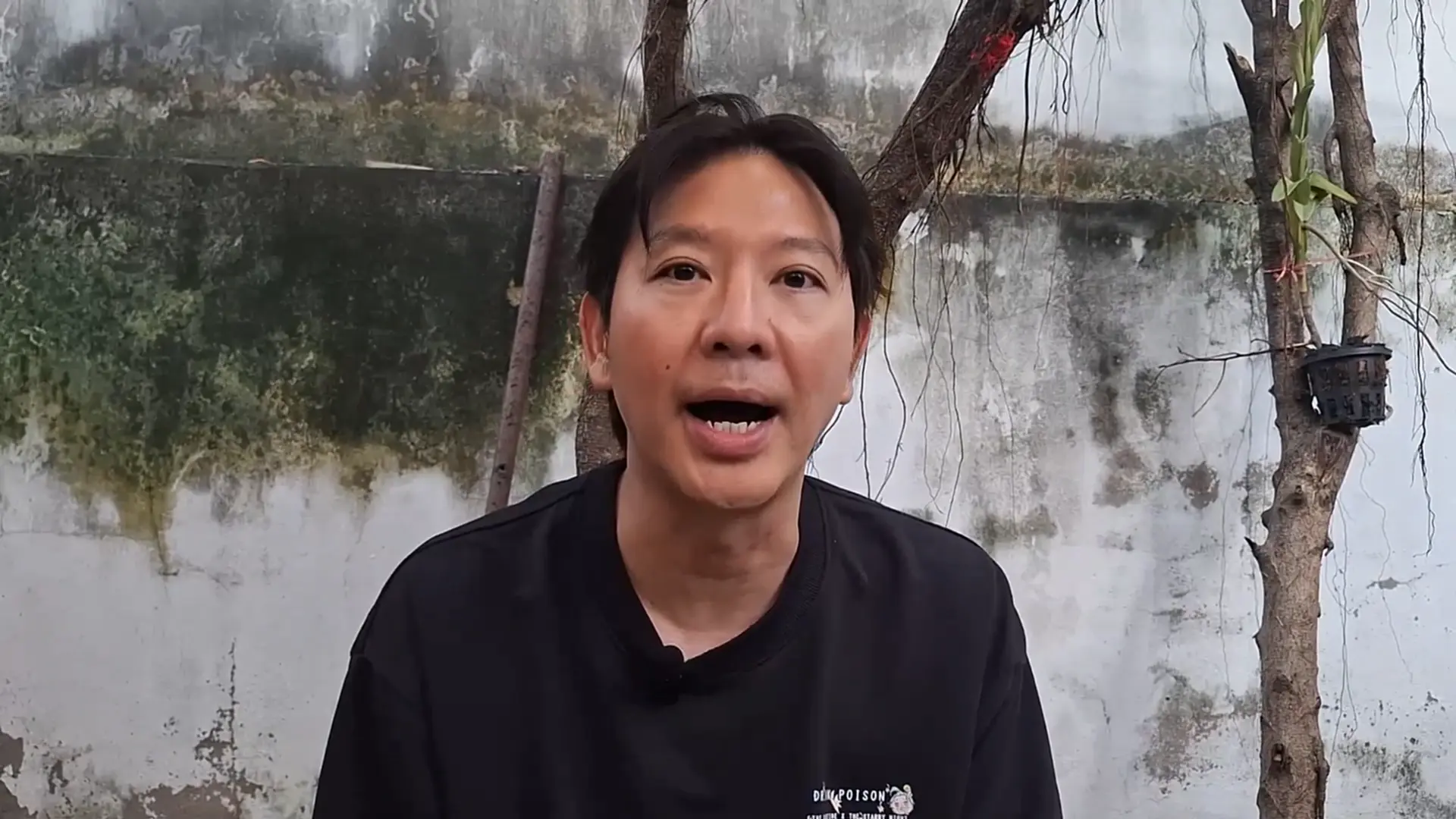 เกลือ เป็นต่อ