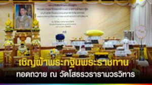 dvdvdvd