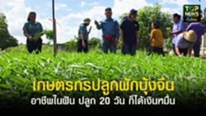 ปกเว็ปTOPNEWS ทั่วไทย (31)