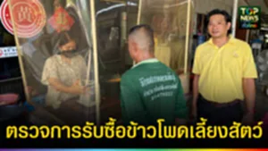ปก web ติดตามการรับซื้อข้าวโพดเลี้ยงสัตว์