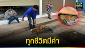 ปก web ทุกชีวิตมีค่า