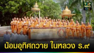 ปก web น้อมอุทิศถวาย ในหลวง ร.๙