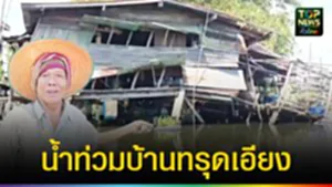 ปก web ยังอยู่ได้เพราะไม้ค้ำ