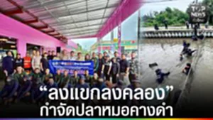 ปก web - “ลงแขกลงคลอง” กำจัดปลาหมอคางดำ