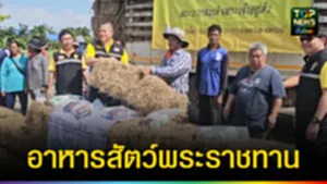 ปก web อาหารสัตว์​พระราชทาน