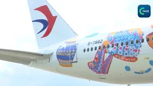 เครื่องบินธีมพิพิธภัณฑ์แห่งชาติจีน