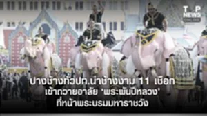 SOCAIL 16-9-Recovered