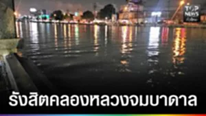 574928509_862777869513663_5809638454324904975_n