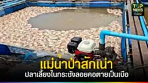 578063198_866613122463471_5638049779759266189_n