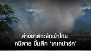 SOCAIL 16-9_2ok-Recovered