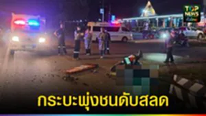 ปก web กระบะพุ่งชนดับสลด