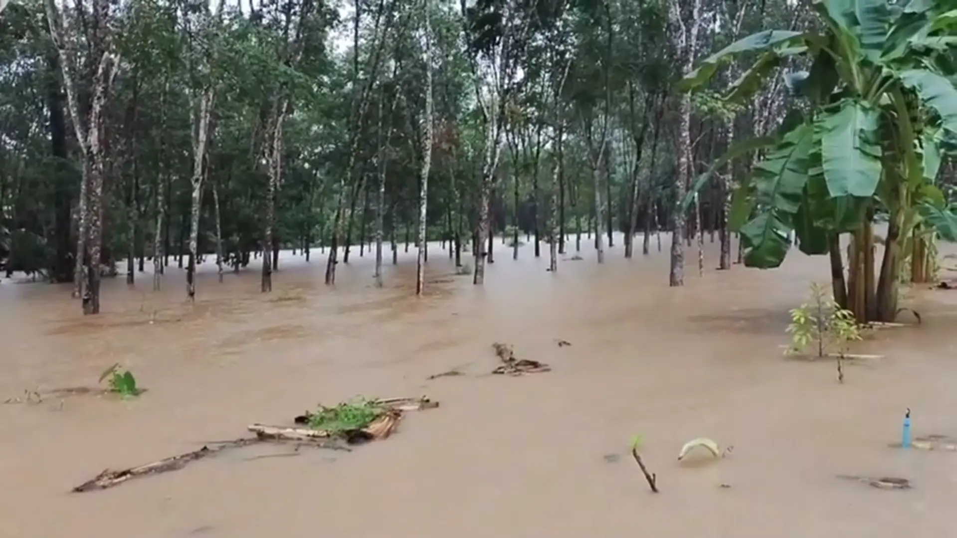 สตูล-เมืองคอนอ่วม