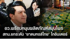 SOCAIL 16-9_2ok-Recovered-Recovered-Recovered-Recovered