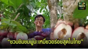 โปรแจคตัดภาพ