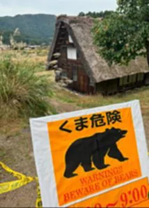 ญี่ปุ่นติดปืนไรเฟิลยิงหมี