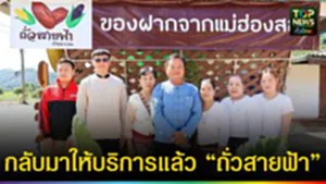 ปก web กลับมาให้บริการแล้ว “ถั่วสายฟ้า”