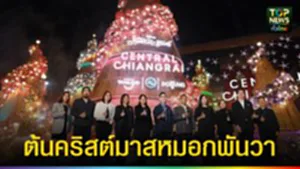 ปก web ต้นคริสต์มาสหมอกพันวา