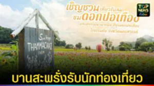 ปก web บานสะพรั่งพร้อมรับนักท่องเที่ยว