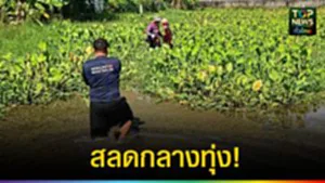 ปก web สลดกลางทุ่ง!