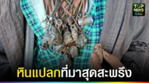 ปก web หินแปลกที่มาสุดสะพรึง