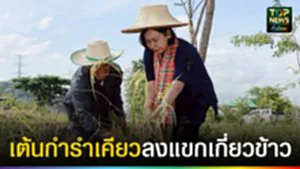 ปก web เต้นกำรำเคียว ลงแขกเกี่ยวข้าว