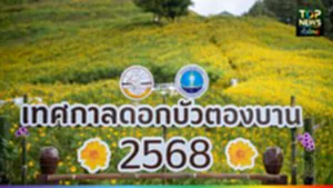 ปก web เปิดฤดูท่องเที่ยวทุ่งบัวตอง