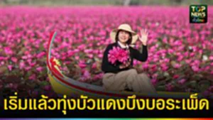 ปก web เริ่มแล้วทุ่งบัวแดงบึงบอระเพ็ด