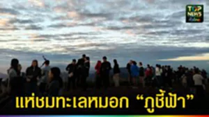ปก web แห่ชมทะเลหมอก “ภูชี้ฟ้า”