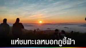 ปก web - แห่ชมทะเลหมอกภูชี้ฟ้า