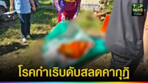 ปก web โรคกำเริบดับสลดคากุฎิ