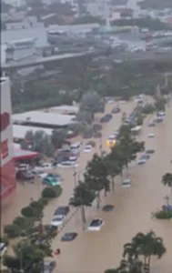 ผู้เสียชีวิตเวียดนาม 90