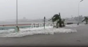 ฟงวองทวีกำล้ง