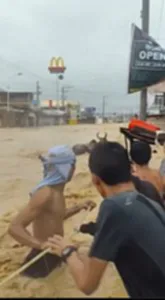 ยอดผู้เสียชีวิตที่เซบูทะลุร้อย