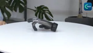 สตาร์ทอัพจีน