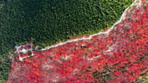 £¨Ð»ªÊӽ磩£¨2£©É½¶«¼ÃÄÏ£º¡°Æ½·ÖÇïÉ«¡±Ð«×Óɽ