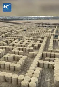 เขาวงกตฟางข้าวว