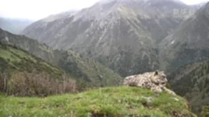 เสฉวนจับภาพเสือดาวหิมะ-อาร์มูเช็คอิน