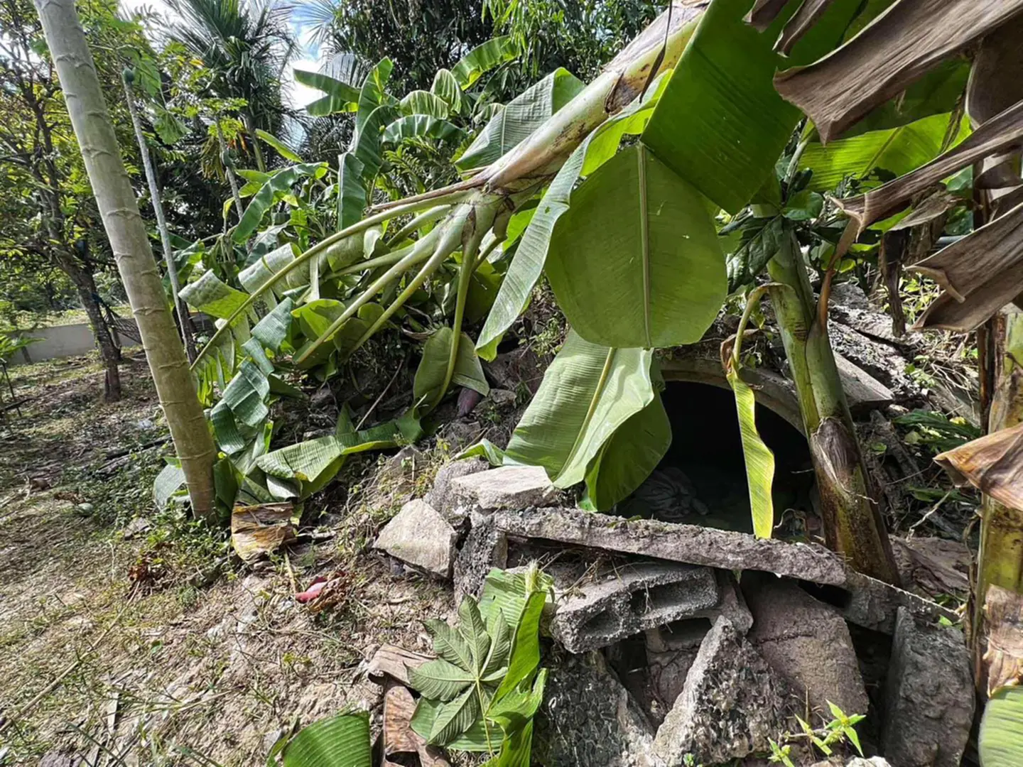 กองทัพบก