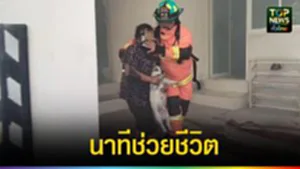 605776896_905217475269702_2475387187422696010_n