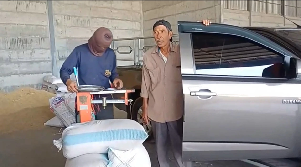 ชาวนาชัยภูมิ