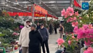 ความต้องการดอกไม้พุ่งช่วงปีใหม่